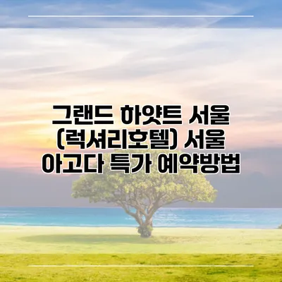 그랜드 하얏트 서울 (럭셔리호텔) 서울 아고다 특가 예약방법