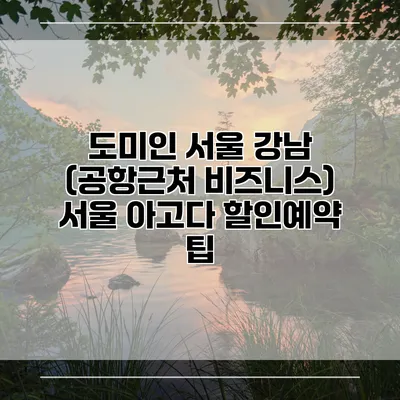 도미인 서울 강남 (공항근처 비즈니스) 서울 아고다 할인예약 팁