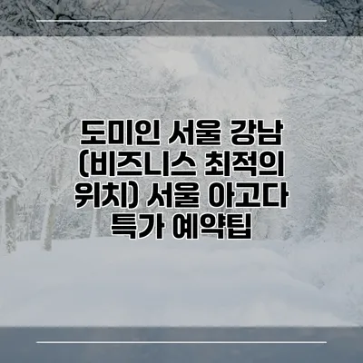 도미인 서울 강남 (비즈니스 최적의 위치) 서울 아고다 특가 예약팁