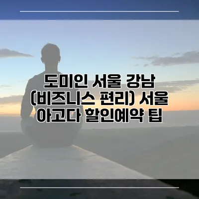 도미인 서울 강남 (비즈니스 편리) 서울 아고다 할인예약 팁
