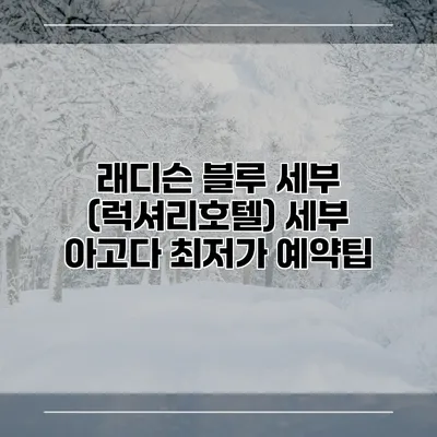 래디슨 블루 세부 (럭셔리호텔) 세부 아고다 최저가 예약팁