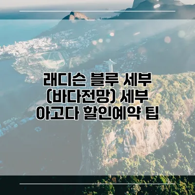 래디슨 블루 세부 (바다전망) 세부 아고다 할인예약 팁