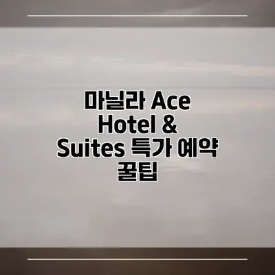 마닐라 Ace Hotel & Suites 특가 예약 꿀팁