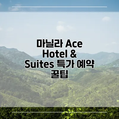 마닐라 Ace Hotel & Suites 특가 예약 꿀팁