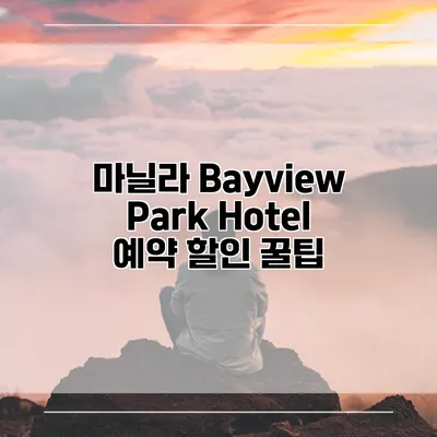 마닐라 Bayview Park Hotel 예약 할인 꿀팁