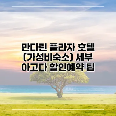 만다린 플라자 호텔 (가성비숙소) 세부 아고다 할인예약 팁