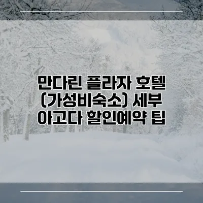 만다린 플라자 호텔 (가성비숙소) 세부 아고다 할인예약 팁