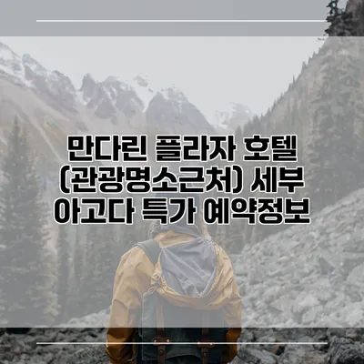 만다린 플라자 호텔 (관광명소근처) 세부 아고다 특가 예약정보