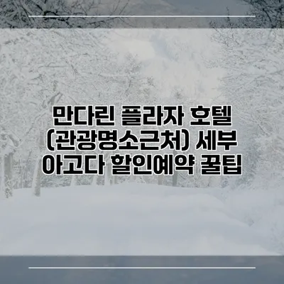 만다린 플라자 호텔 (관광명소근처) 세부 아고다 할인예약 꿀팁