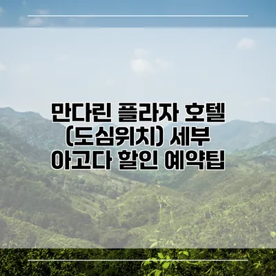 만다린 플라자 호텔 (도심위치) 세부 아고다 할인 예약팁