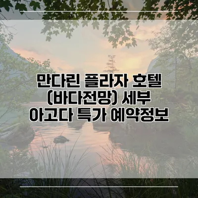 만다린 플라자 호텔 (바다전망) 세부 아고다 특가 예약정보