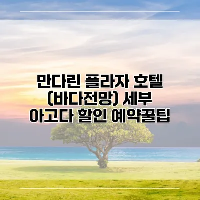 만다린 플라자 호텔 (바다전망) 세부 아고다 할인 예약꿀팁