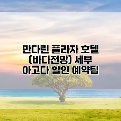 만다린 플라자 호텔 (바다전망) 세부 아고다 할인 예약팁