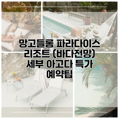 망고들롱 파라다이스 리조트 (바다전망) 세부 아고다 특가 예약팁
