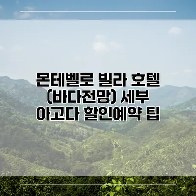 몬테벨로 빌라 호텔 (바다전망) 세부 아고다 할인예약 팁