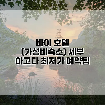 바이 호텔 (가성비숙소) 세부 아고다 최저가 예약팁