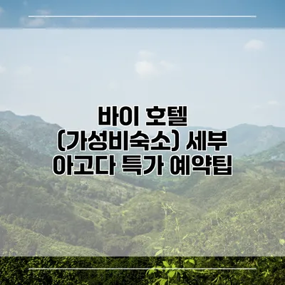 바이 호텔 (가성비숙소) 세부 아고다 특가 예약팁