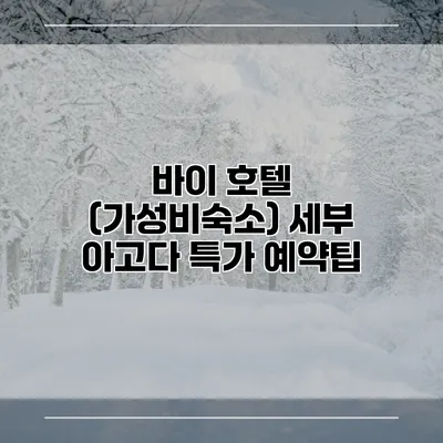 바이 호텔 (가성비숙소) 세부 아고다 특가 예약팁