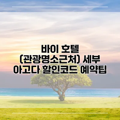 바이 호텔 (관광명소근처) 세부 아고다 할인코드 예약팁