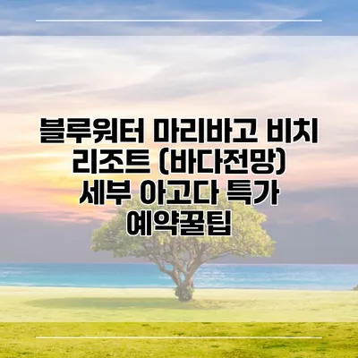 블루워터 마리바고 비치 리조트 (바다전망) 세부 아고다 특가 예약꿀팁