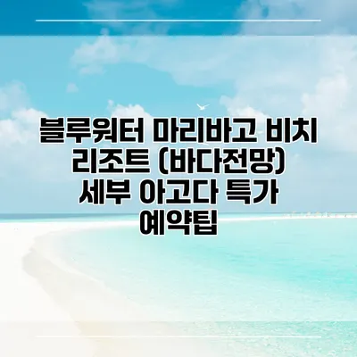 블루워터 마리바고 비치 리조트 (바다전망) 세부 아고다 특가 예약팁