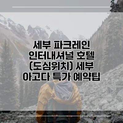 세부 파크레인 인터내셔널 호텔 (도심위치) 세부 아고다 특가 예약팁