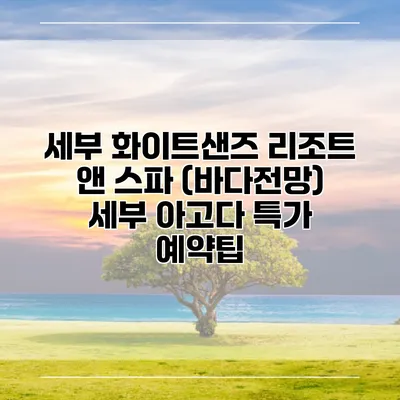 세부 화이트샌즈 리조트 앤 스파 (바다전망) 세부 아고다 특가 예약팁