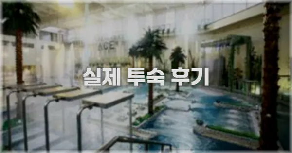💬 실제 투숙 후기