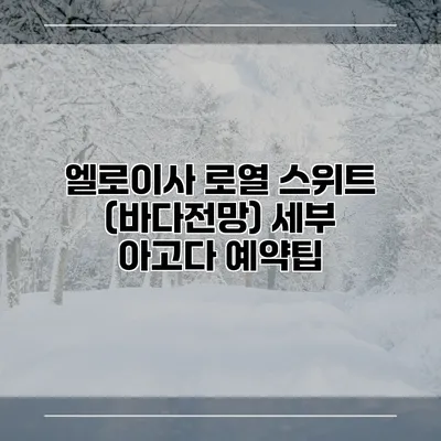 엘로이사 로열 스위트 (바다전망) 세부 아고다 예약팁