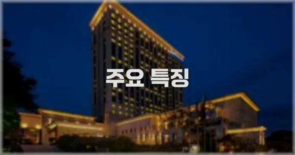 ✨ 주요 특징