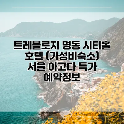 트레블로지 명동 시티홀 호텔 (가성비숙소) 서울 아고다 특가 예약정보