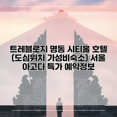 트레블로지 명동 시티홀 호텔 (도심위치 가성비숙소) 서울 아고다 특가 예약정보