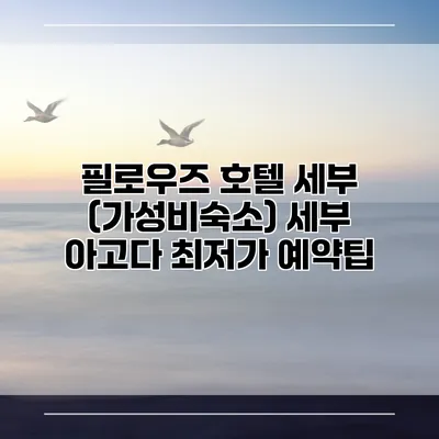 필로우즈 호텔 세부 (가성비숙소) 세부 아고다 최저가 예약팁