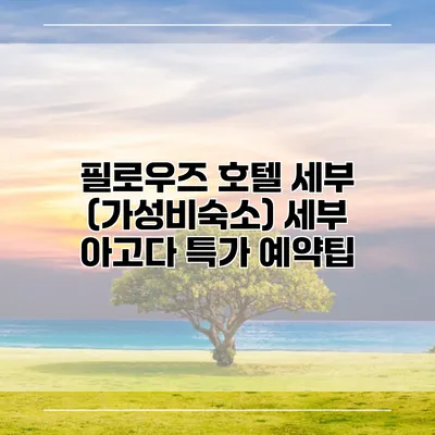 필로우즈 호텔 세부 (가성비숙소) 세부 아고다 특가 예약팁