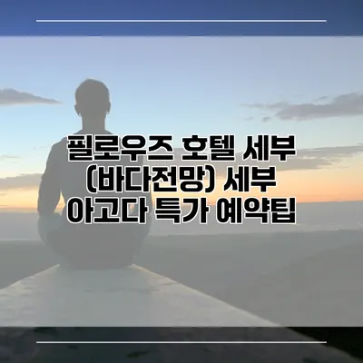 필로우즈 호텔 세부 (바다전망) 세부 아고다 특가 예약팁