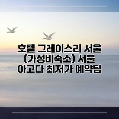 호텔 그레이스리 서울 (가성비숙소) 서울 아고다 최저가 예약팁
