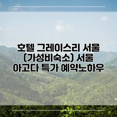 호텔 그레이스리 서울 (가성비숙소) 서울 아고다 특가 예약노하우