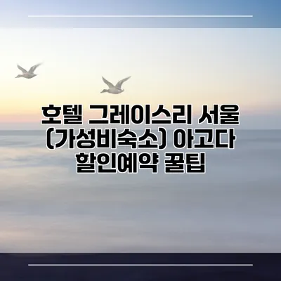 호텔 그레이스리 서울 (가성비숙소) 아고다 할인예약 꿀팁
