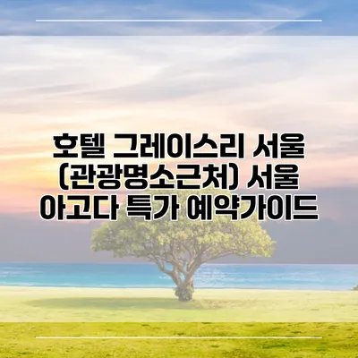 호텔 그레이스리 서울 (관광명소근처) 서울 아고다 특가 예약가이드