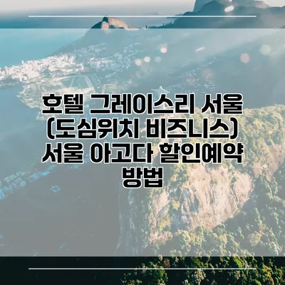 호텔 그레이스리 서울 (도심위치 비즈니스) 서울 아고다 할인예약 방법