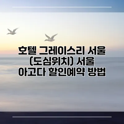 호텔 그레이스리 서울 (도심위치) 서울 아고다 할인예약 방법