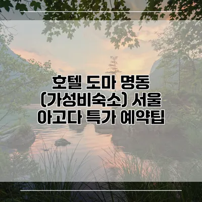 호텔 도마 명동 (가성비숙소) 서울 아고다 특가 예약팁