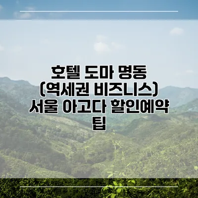 호텔 도마 명동 (역세권 비즈니스) 서울 아고다 할인예약 팁