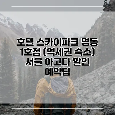 호텔 스카이파크 명동 1호점 (역세권 숙소) 서울 아고다 할인 예약팁