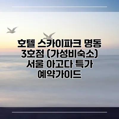 호텔 스카이파크 명동 3호점 (가성비숙소) 서울 아고다 특가 예약가이드