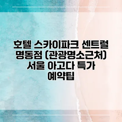 호텔 스카이파크 센트럴 명동점 (관광명소근처) 서울 아고다 특가 예약팁