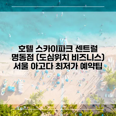호텔 스카이파크 센트럴 명동점 (도심위치 비즈니스) 서울 아고다 최저가 예약팁