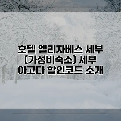 호텔 엘리자베스 세부 (가성비숙소) 세부 아고다 할인코드 소개
