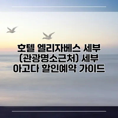호텔 엘리자베스 세부 (관광명소근처) 세부 아고다 할인예약 가이드