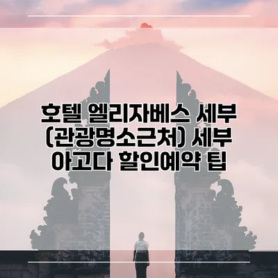 호텔 엘리자베스 세부 (관광명소근처) 세부 아고다 할인예약 팁